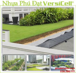 Tấm Nhựa Thoát Nước Trồng Cây