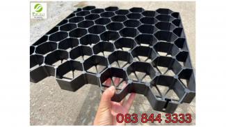 vỉ nhựa trồng cỏ versicell